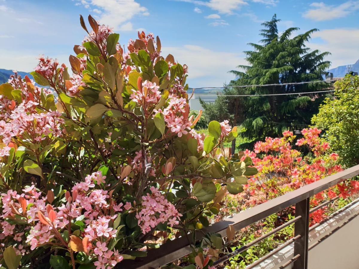 Domus Rose Rooms Больцано Экстерьер фото